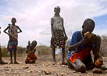 Hunger crisis in West and Central Africa affects 40 million - UN report