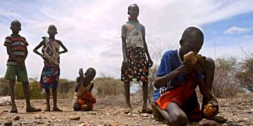Hunger crisis in West and Central Africa affects 40 million - UN report