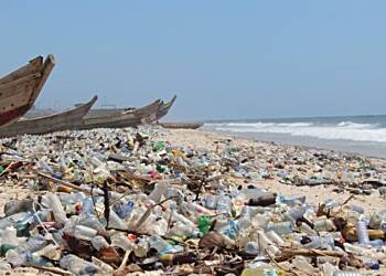 Minister-Designate for Environment calls for sustainable alternatives before plastic ban