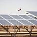 Egypt considers solar energy as source of power as gas prices escalate