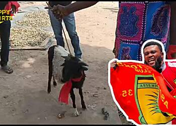 VIDEO: Nsoatreman FC supporters demand justice for Pooley, offer sacrifice to gods to expose perpetrators