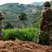 Congo army meets offense from Allied Militia in Bukavu retreat bid