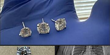 Florida police recover $769,500 worth of earrings after suspect allegedly swallows them