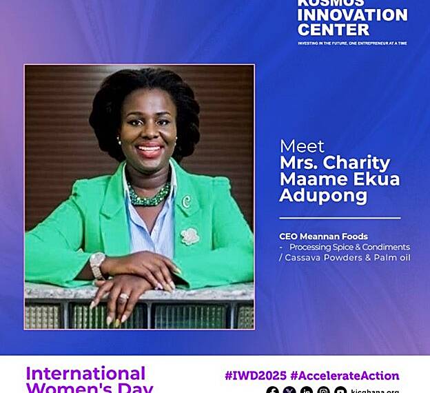 Promoting food security and empowering women in agribusiness: Charity M.E Adupong’s vision with Meannan Foods