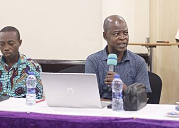 There's no vision for Ghana's gold sector - Dr. Steve Manteaw