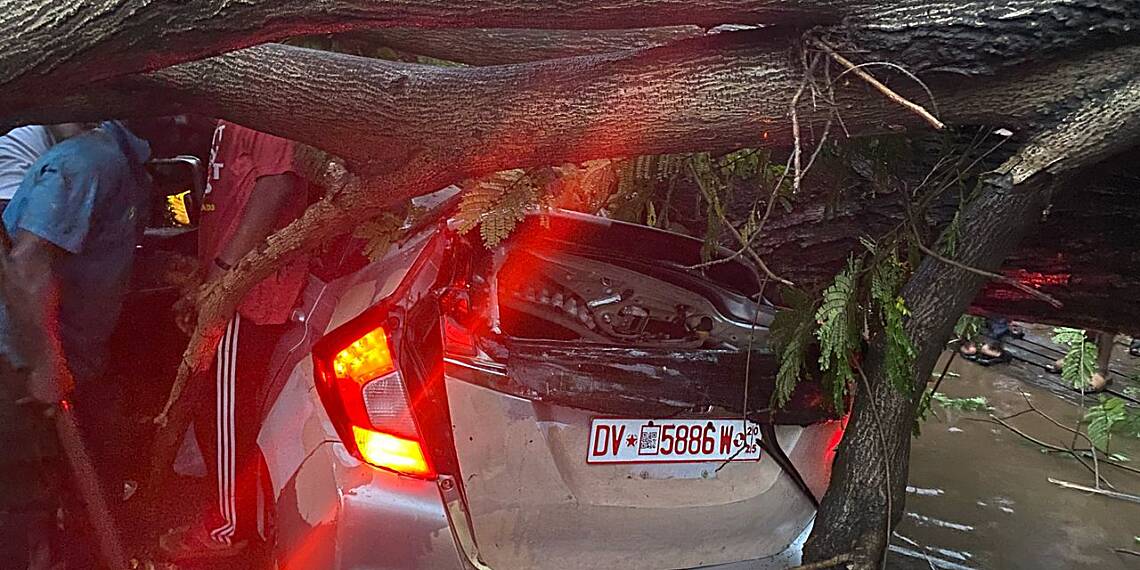 Driver rescued after tree falls on car during heavy rains in Accra