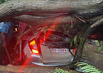 Driver rescued after tree falls on car during heavy rains in Accra