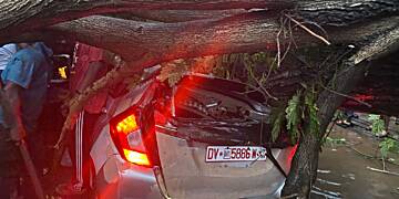 Driver rescued after tree falls on car during heavy rains in Accra