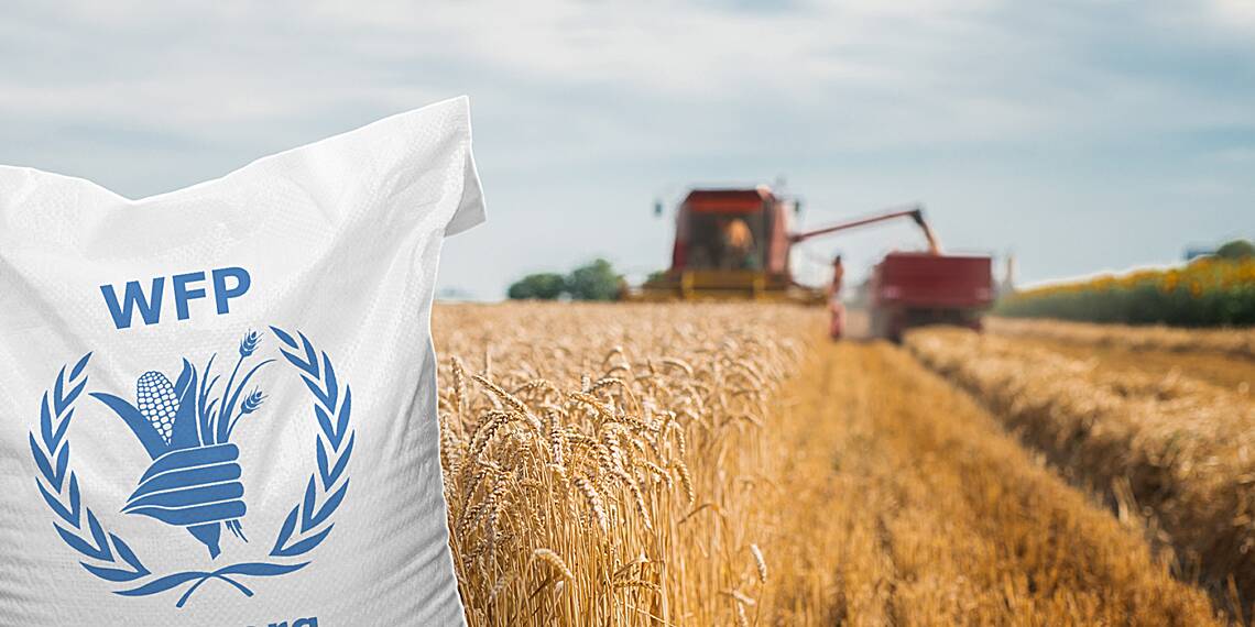 UN food agency shuts Southern Africa bureau during drought, citing low funding
