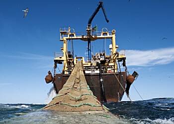 Fisheries Ministry suspends licences of four trawl vessels over illegal fishing