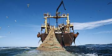 Fisheries Ministry suspends licences of four trawl vessels over illegal fishing