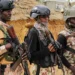 Nigeria: Jihadists resurface as terror attacks surge in the North