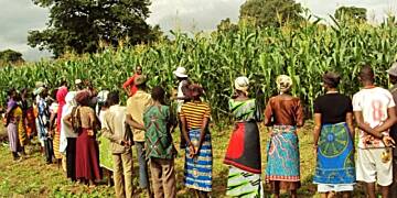 Peasant-Farmers-urge-Govt-to-keep-politics-out-of-feed-Ghana-initiative