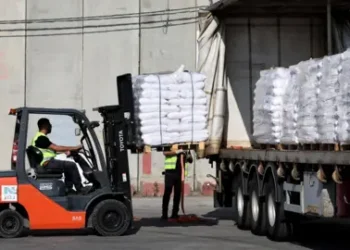 90 Lorry Loads of Aid successfully enter Gaza – UN confirms