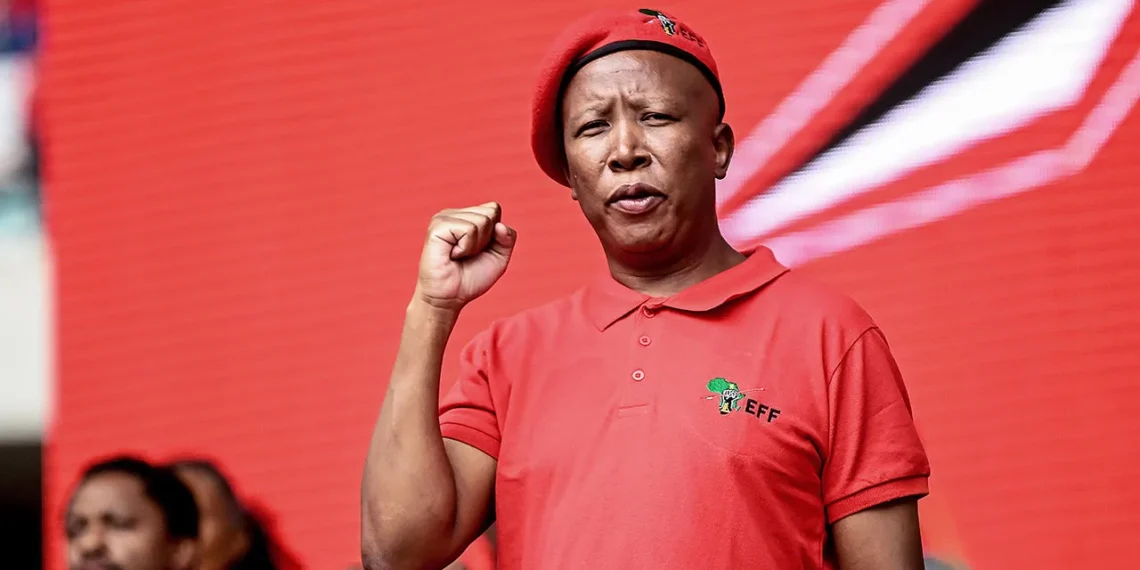 South Africa’s Julius Malema denied UK Visa, accuses Govt of silencing dissent