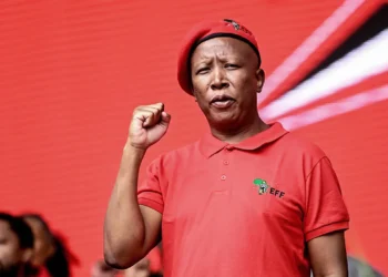 South Africa’s Julius Malema denied UK Visa, accuses Govt of silencing dissent