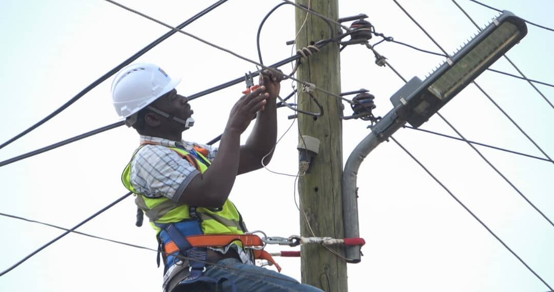 ECG confirms technical fault affecting purchase of electricity credits