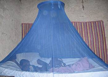 Accra Health Directorate urges residents to use mosquito nets to fight malaria