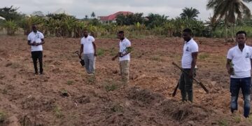 YES, WE CAN: Green Fortland Foundation Says About Farming in Ghana