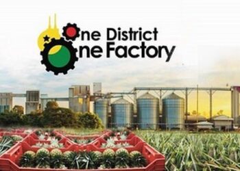 Ghana Ranks 8th Among Africa’s Top 10 Manufacturing Countries; 1D1F Initiative Earns Praise