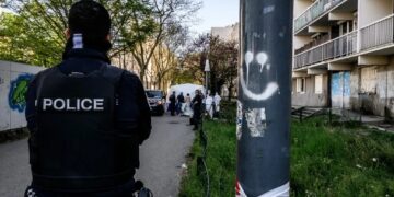 Tunisian man shot dead in suspected 'racially motivated' attack in Southern France