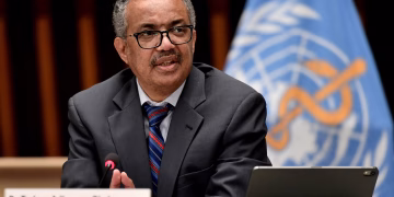 WHO condemns airstrikes that killed 114 in Sudan