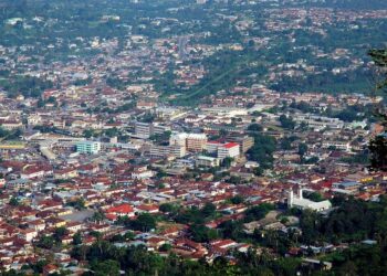 Property tax is a promising revenue generator for development - Economist