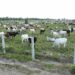 Gov't to Construct Cattle Ranches in Bono East Region to Address Farmers-Herdsmen Conflicts