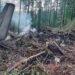 48 killed in Russian passenger plane crash, official says