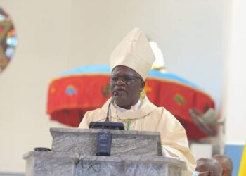Catholic Bishop Blasts Clergy for Silence on Environmental Destruction