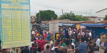 The violence were designed to suppress voter turnout and reduce my margin of victory -Nana Akua Afriyie