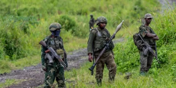 DRC and M23 rebels make progressive steps towards peace - Diplomatic Sources confirm
