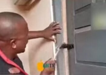 NDC Organiser sparks standoff at Hohoe NADMO office over appointment tussle