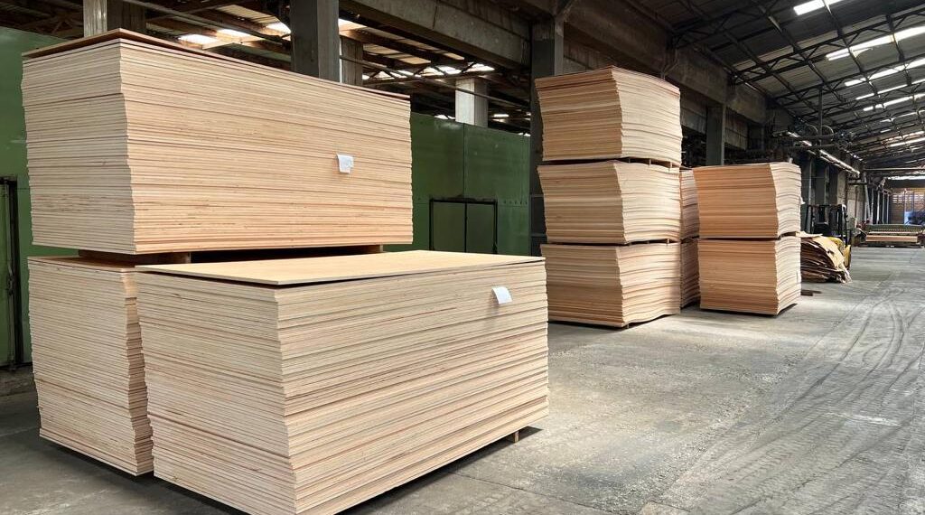 Tragedy at Chinese-Owned Plywood Factory: 18-year-old employee electrocuted