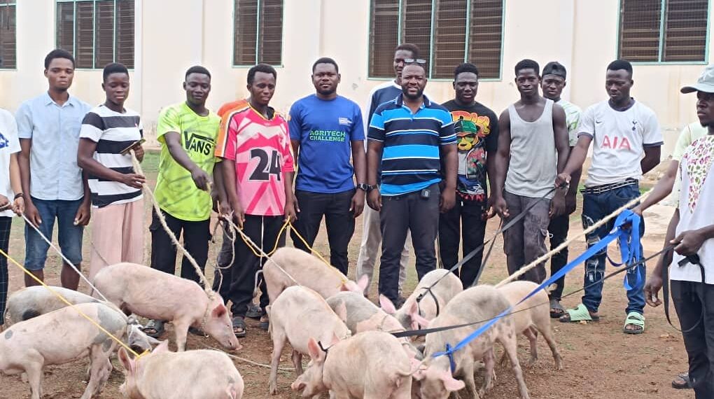 CKT-UTAS distributes piglets and rabbits to young entrepreneurs on the YFBA Program