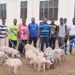 CKT-UTAS distributes piglets and rabbits to young entrepreneurs on the YFBA Program