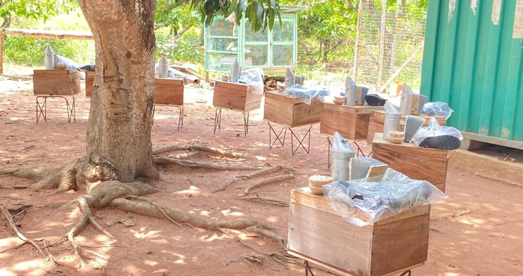 KIC and the Mastercard Foundation train and equip female agripreneurs in beekeeping