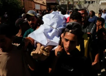 20 declared dead at Gaza aid site after crowd surge incited crash - GHF confirms