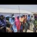 Nigeria Airforce rescues 76 hostages in bandit hideout crackdown