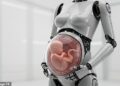 Researchers in China Develop Robot Capable of Carrying Pregnancy