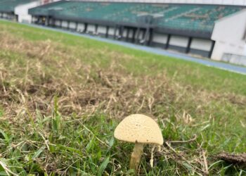 GHALCA Top 4 tournament relocated to UG Stadium