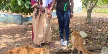 KIC Women’s Bootcamp trains women in livestock production