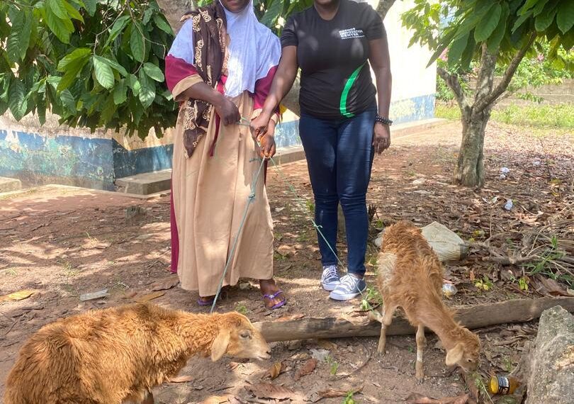 KIC Women’s Bootcamp trains women in livestock production
