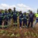 Tullow is sowing seeds of change in Ghana’s Agric sector