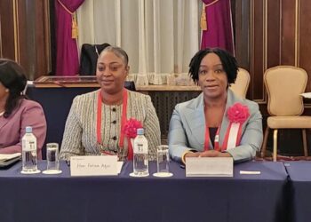 Felicia Adjei Joins President Mahama on National Assignment in Japan