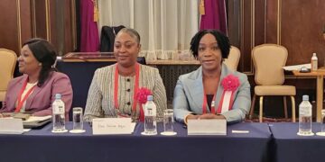 Felicia Adjei Joins President Mahama on National Assignment in Japan