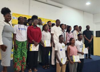 YEA urges youth to embrace digital apprenticeship for self-employment