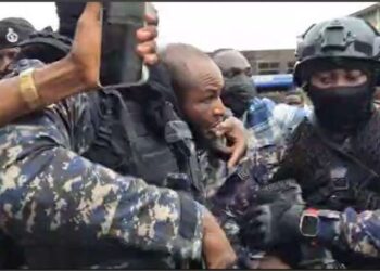 Second suspect arrested in Immigration Officer murder case