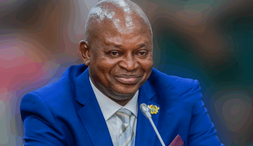 We’re not clearing, we’re only decongesting the Port” — Transport Minister responds to excavator concerns