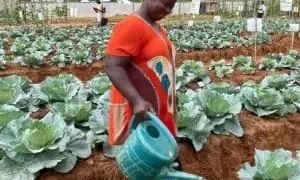 Public Accounts Committee demands legal action over GH¢1.3m Health Ministry procurement breach